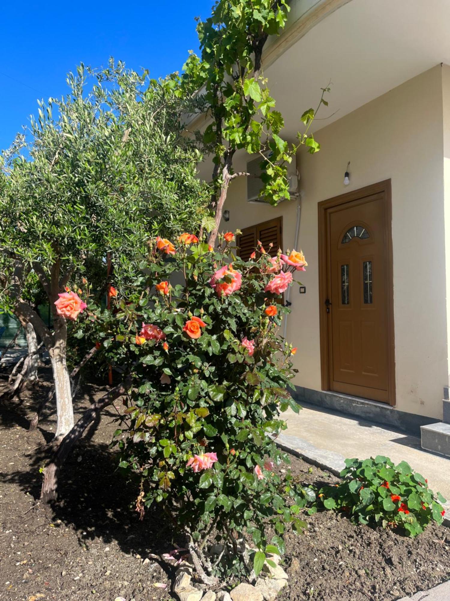 Blossom Apartments Vlore Bagian luar foto