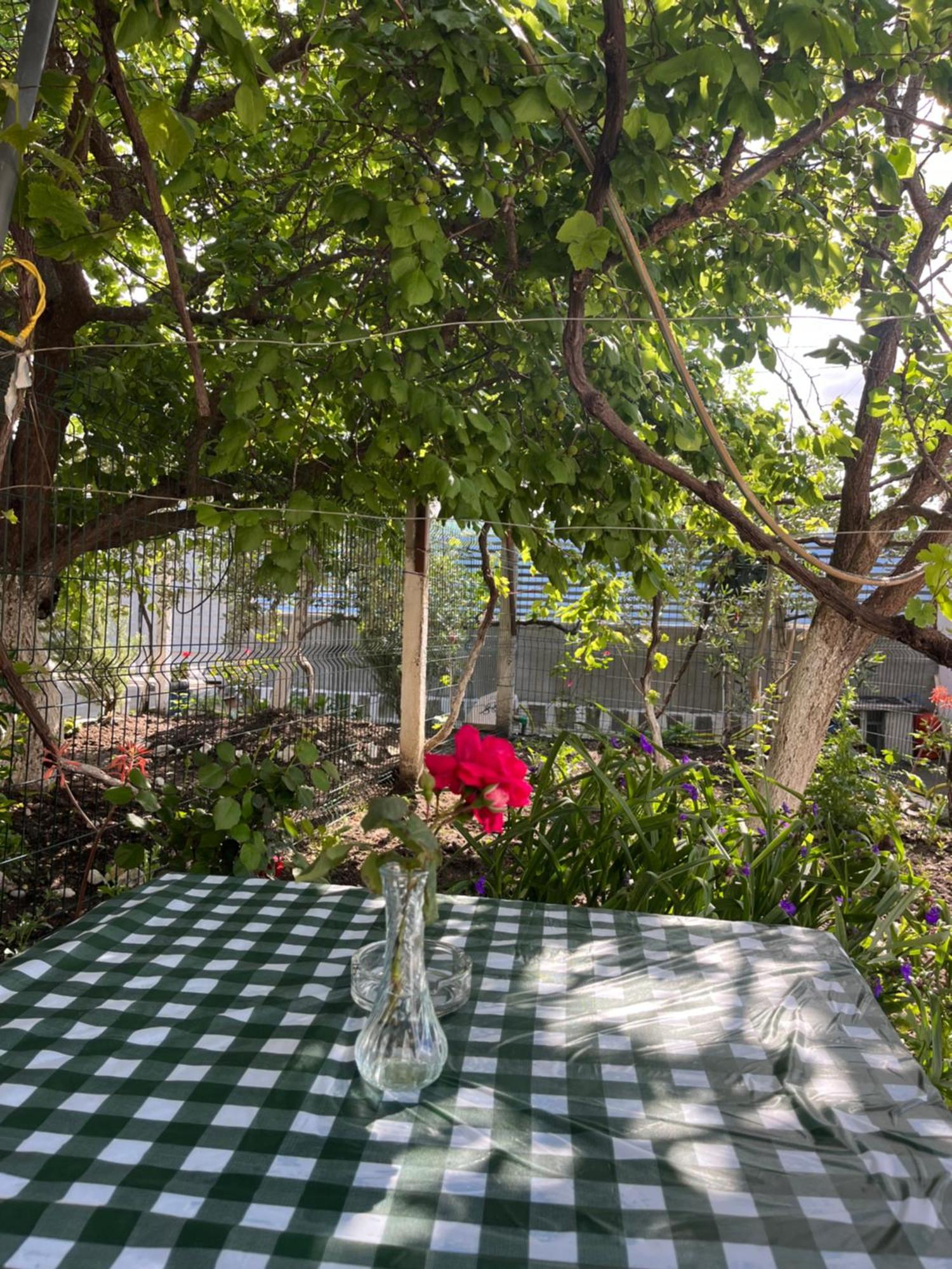 Blossom Apartments Vlore Bagian luar foto