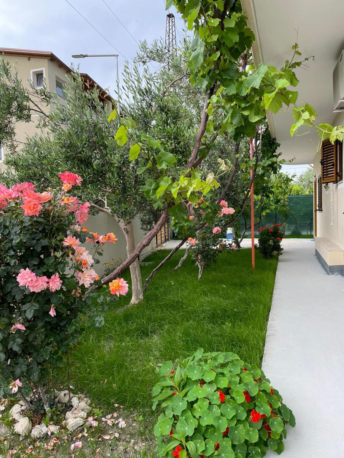 Blossom Apartments Vlore Bagian luar foto